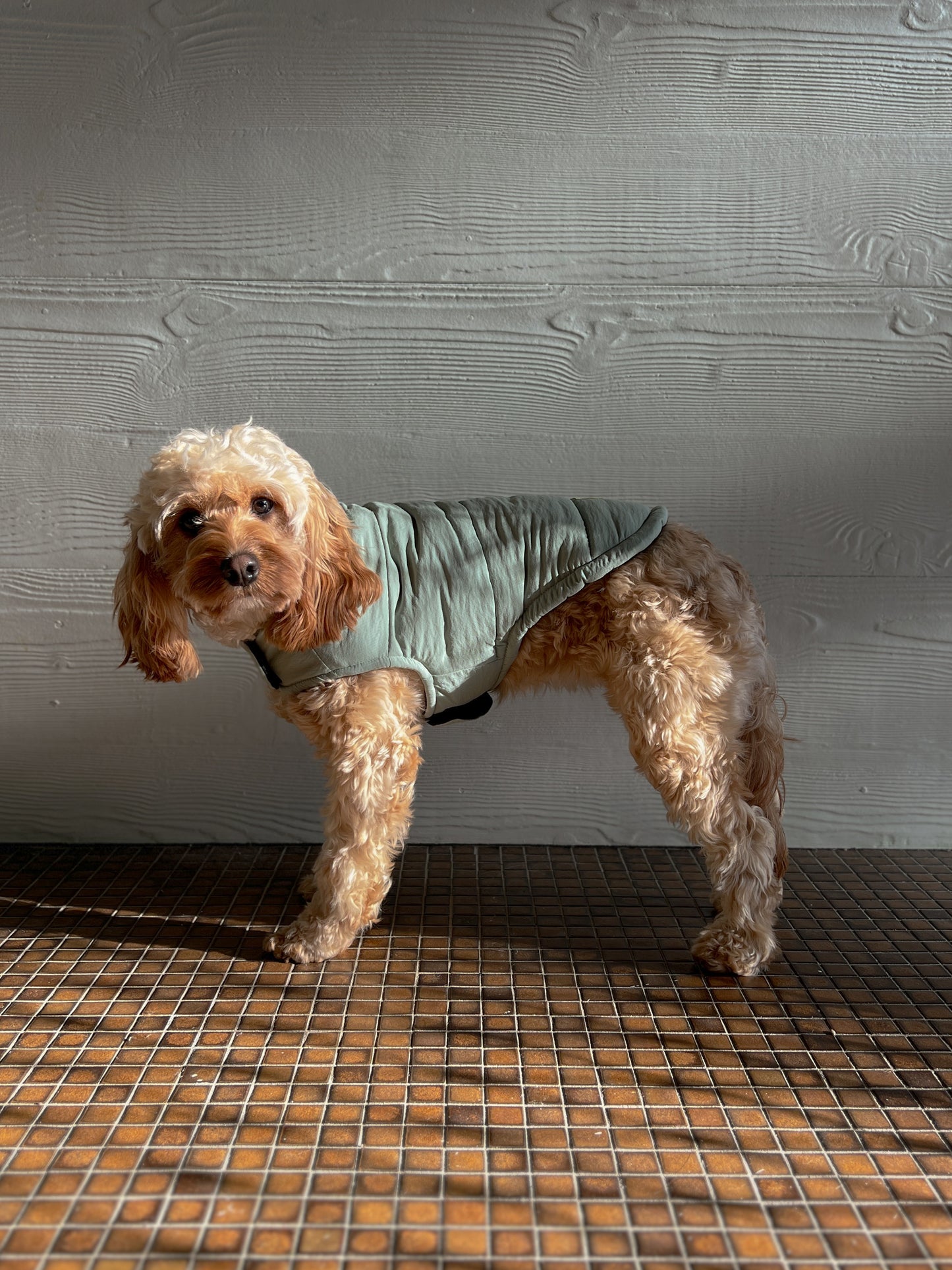 Puffer Jacket - Sage Green