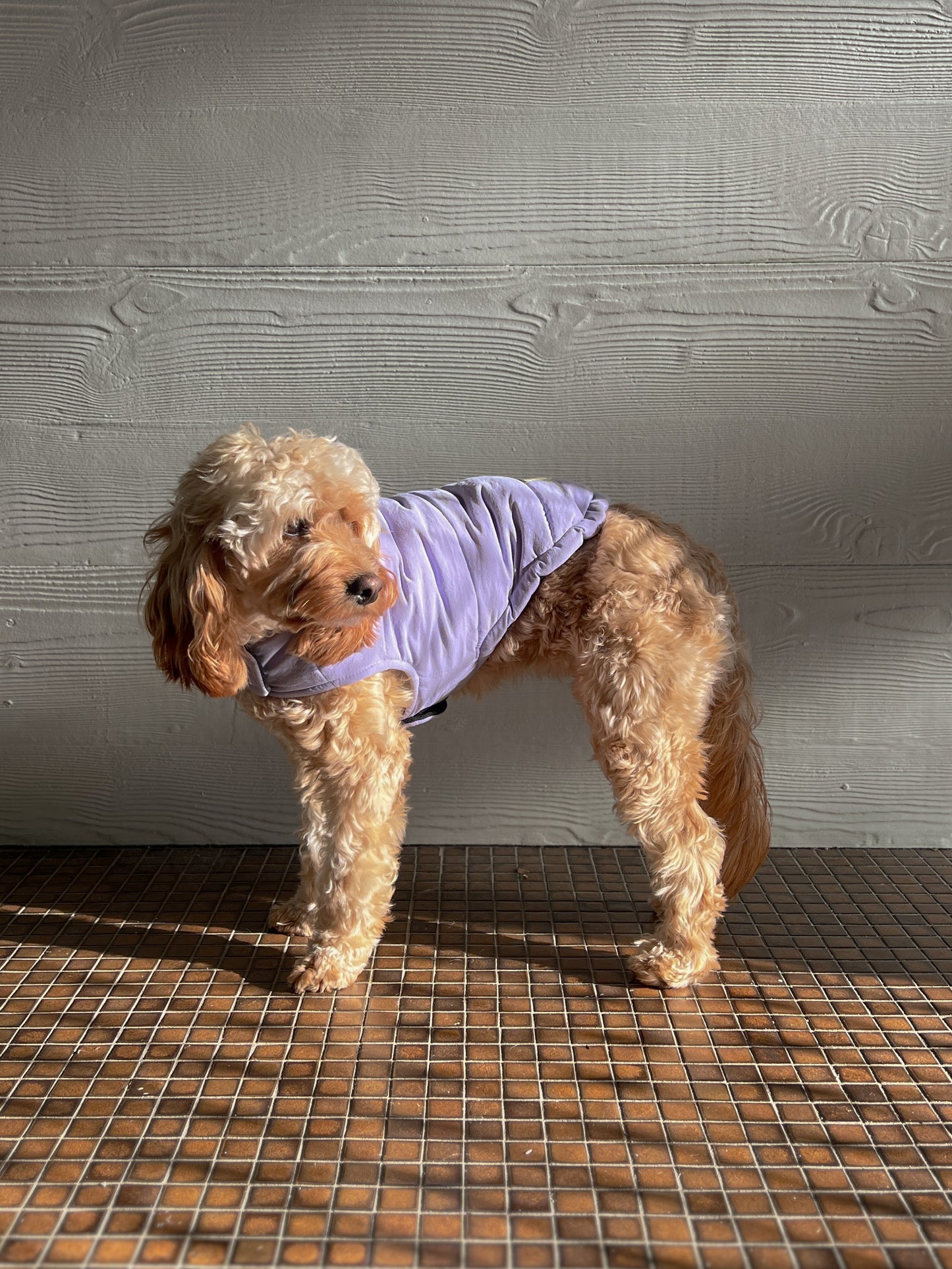 Puffer Jacket - Lilac