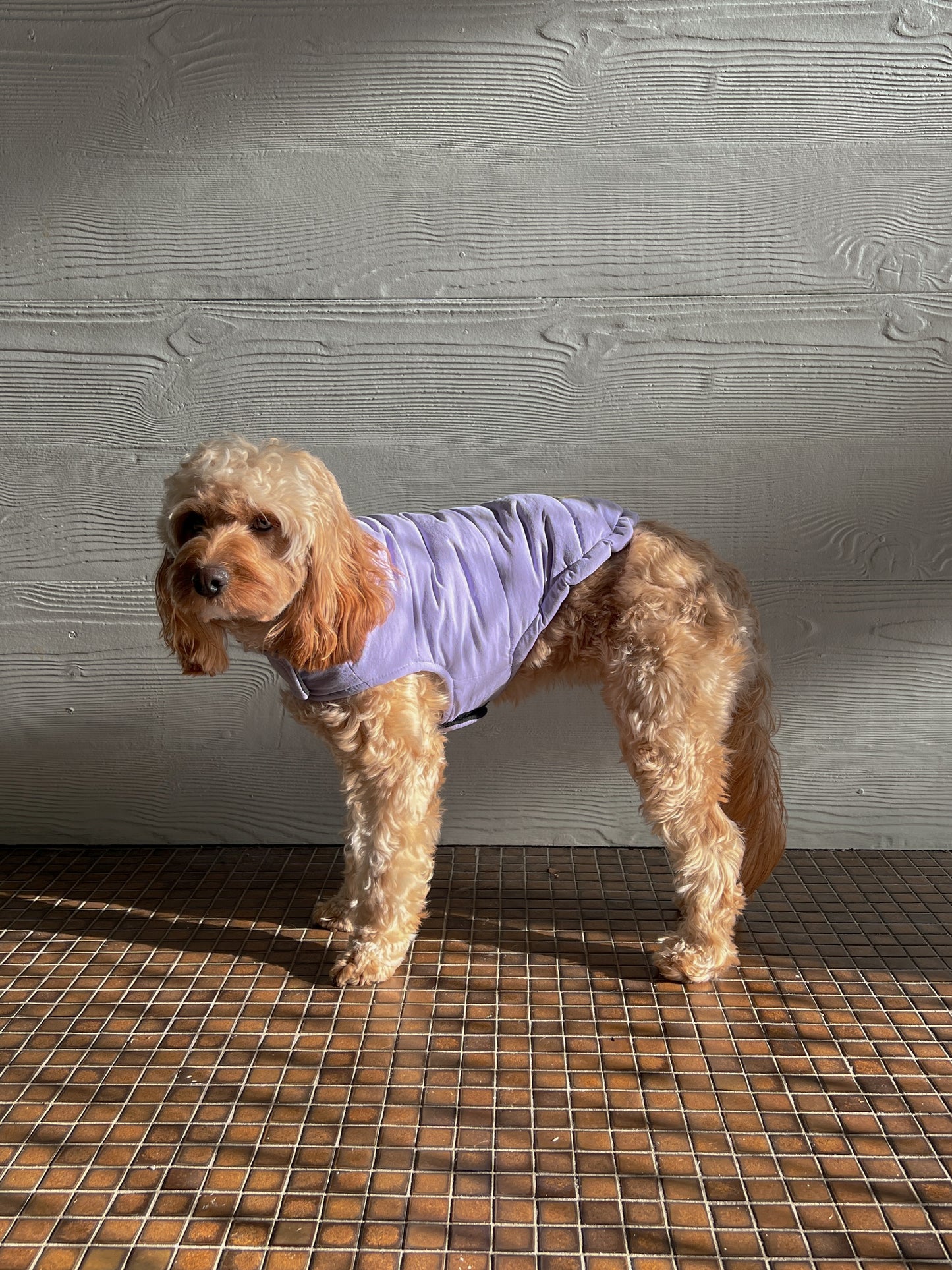 Puffer Jacket - Lilac