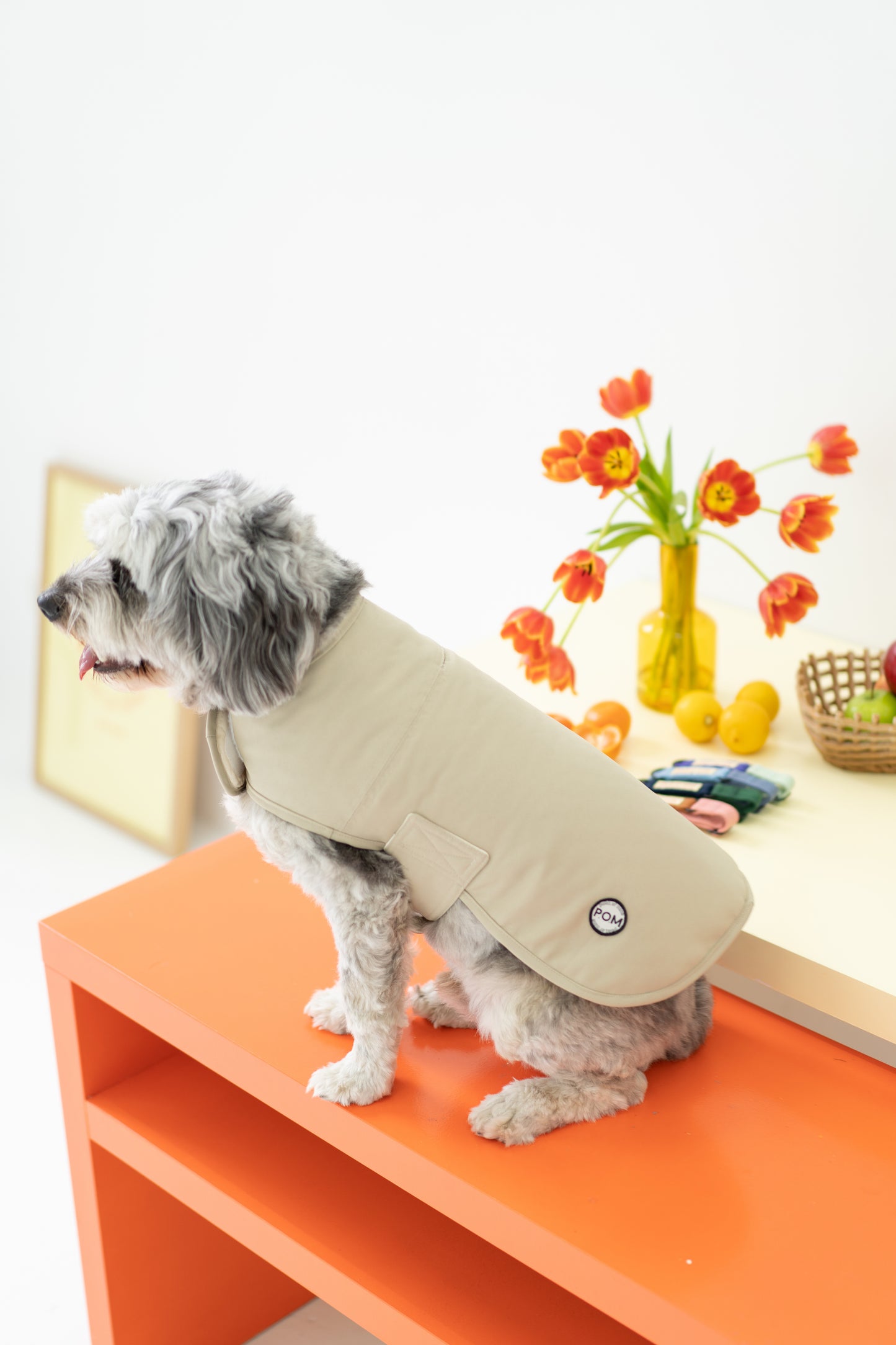 Whatever The Weather Coat - Stone