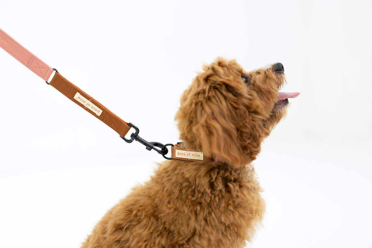 Leash - Peach & Camel