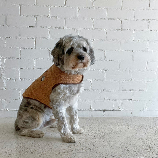 P.O.M Teddy Coat - Camel