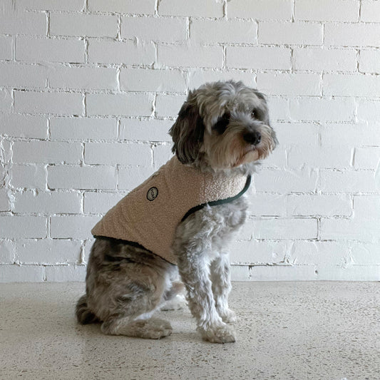P.O.M Teddy Coat - Cream