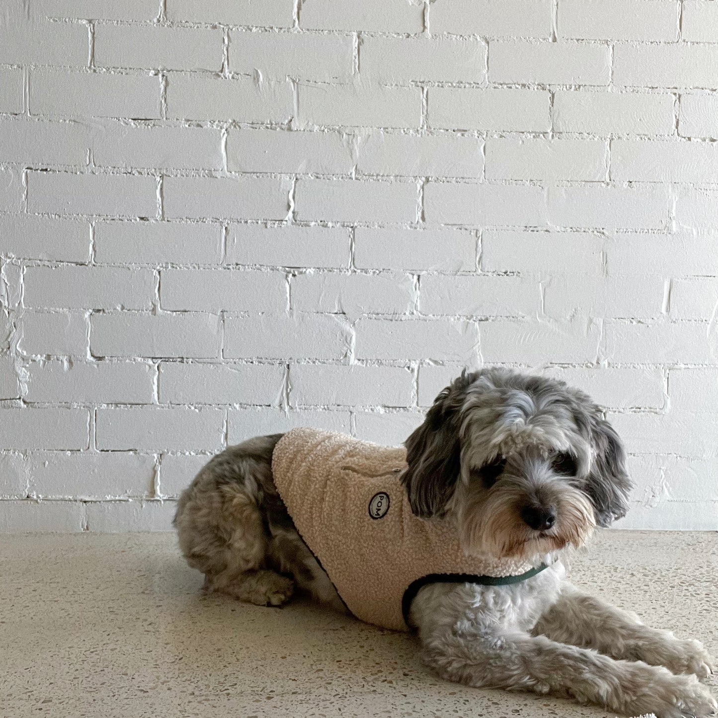 P.O.M Teddy Coat - Cream
