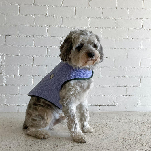 P.O.M Teddy Coat - Bluey