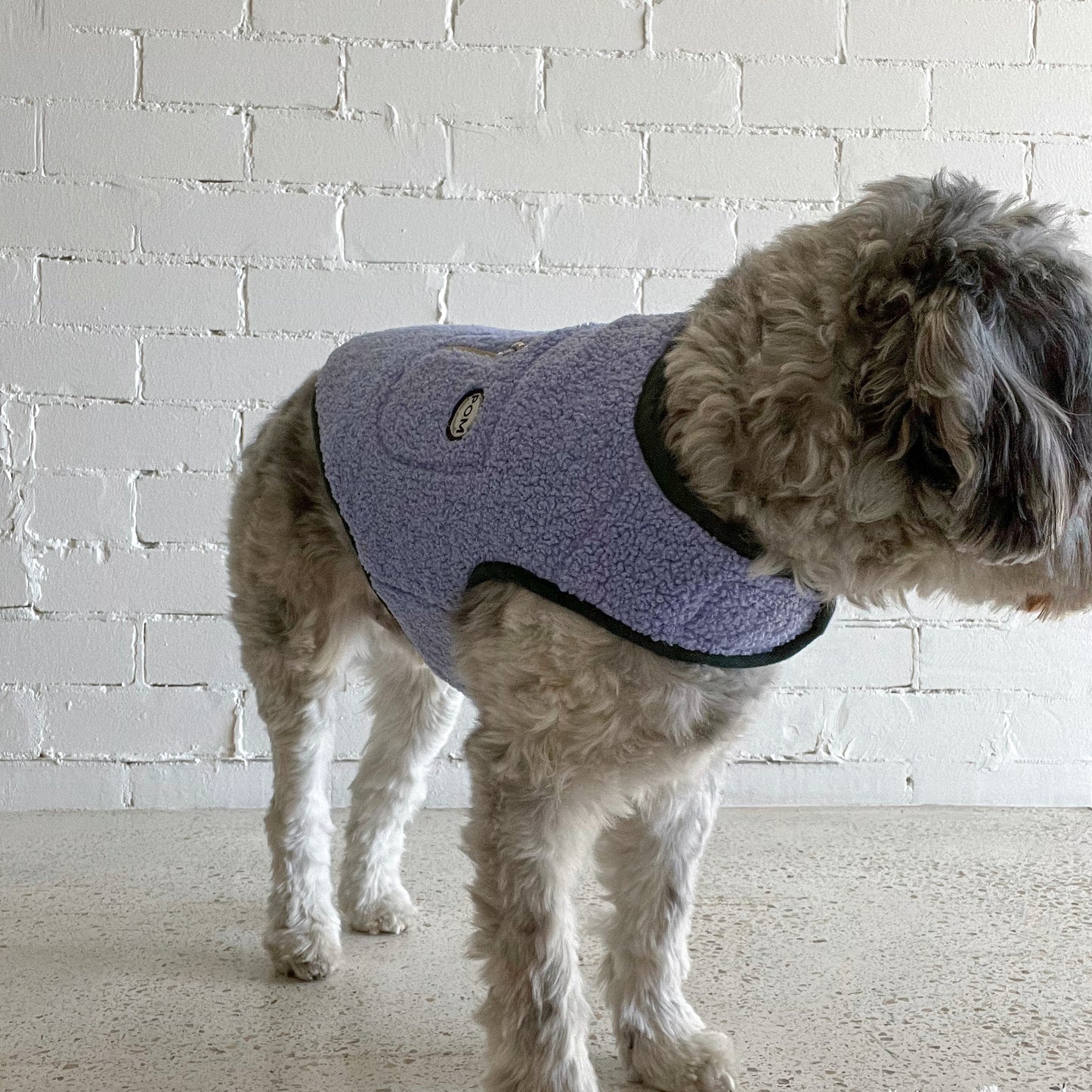 P.O.M Teddy Coat - Bluey