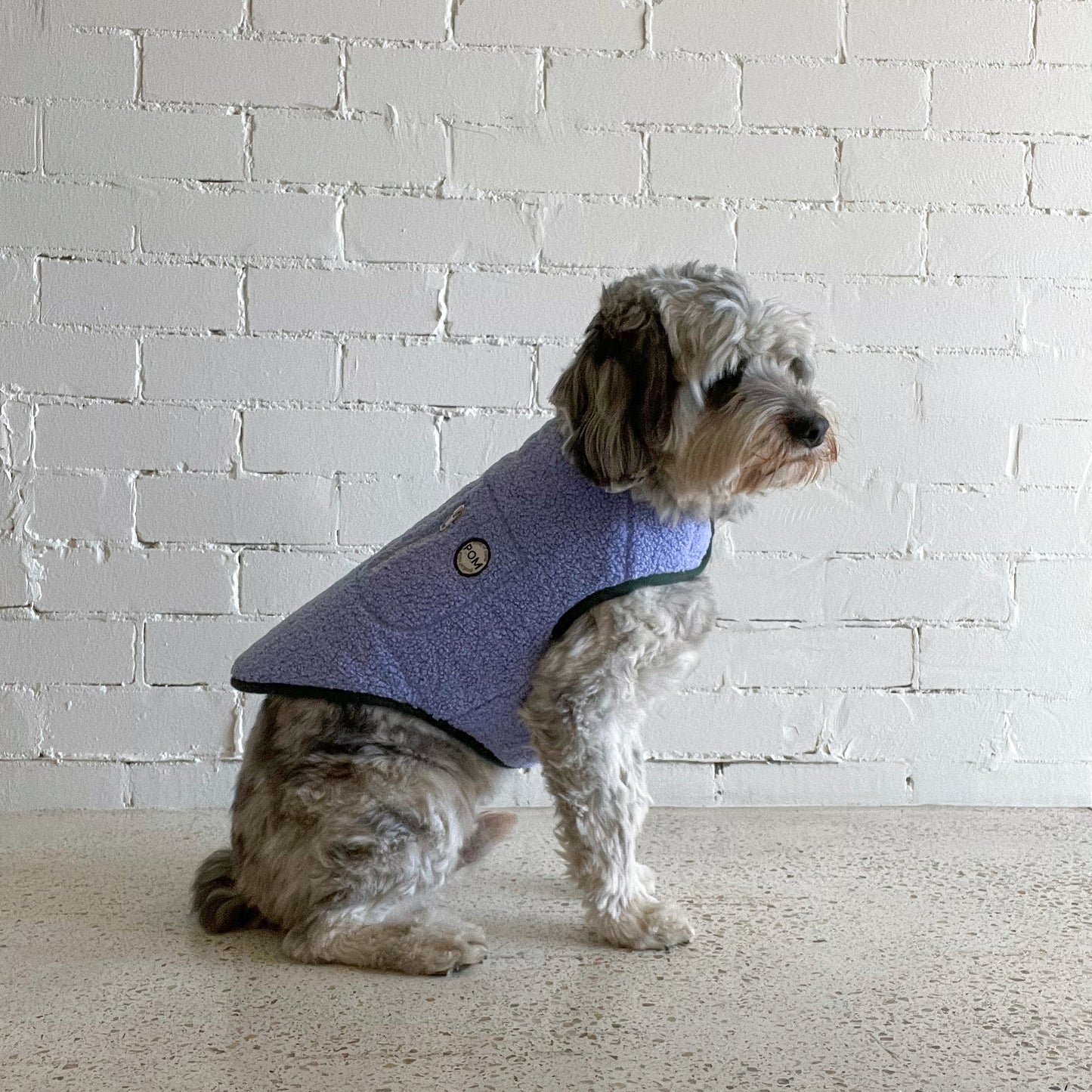 P.O.M Teddy Coat - Bluey