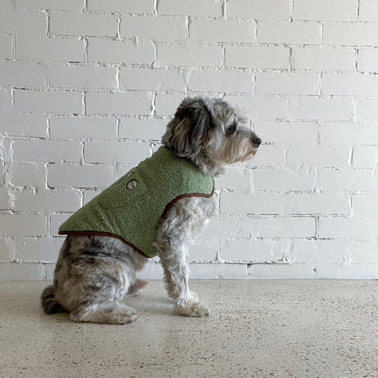 P.O.M Teddy Coat - Sage Green