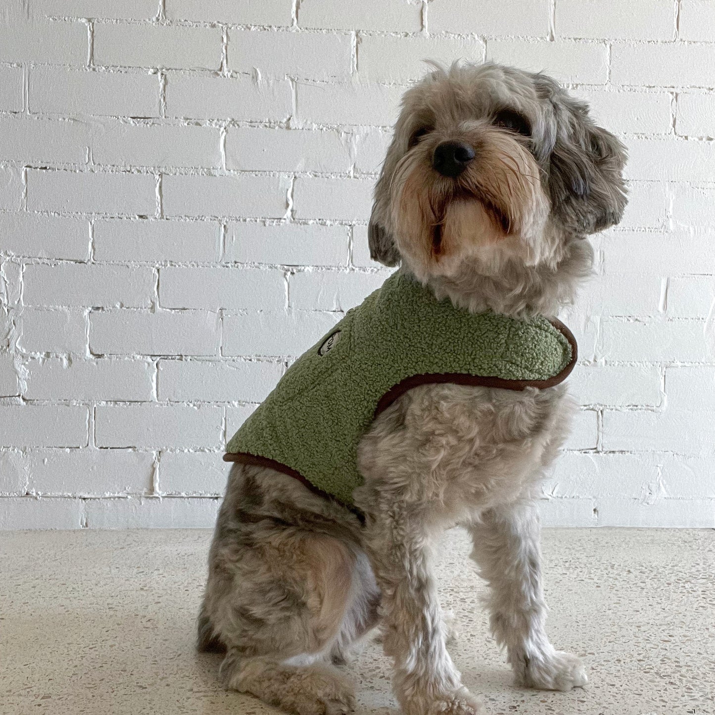P.O.M Teddy Coat - Sage Green