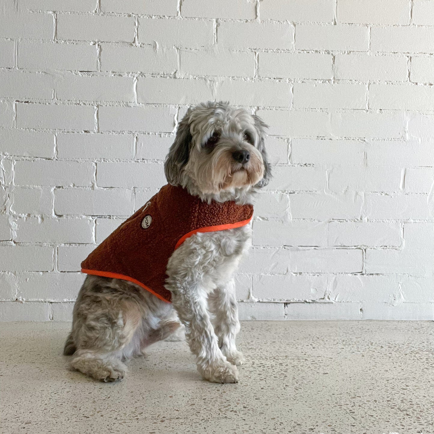 P.O.M Teddy Coat - Jaffa Cake