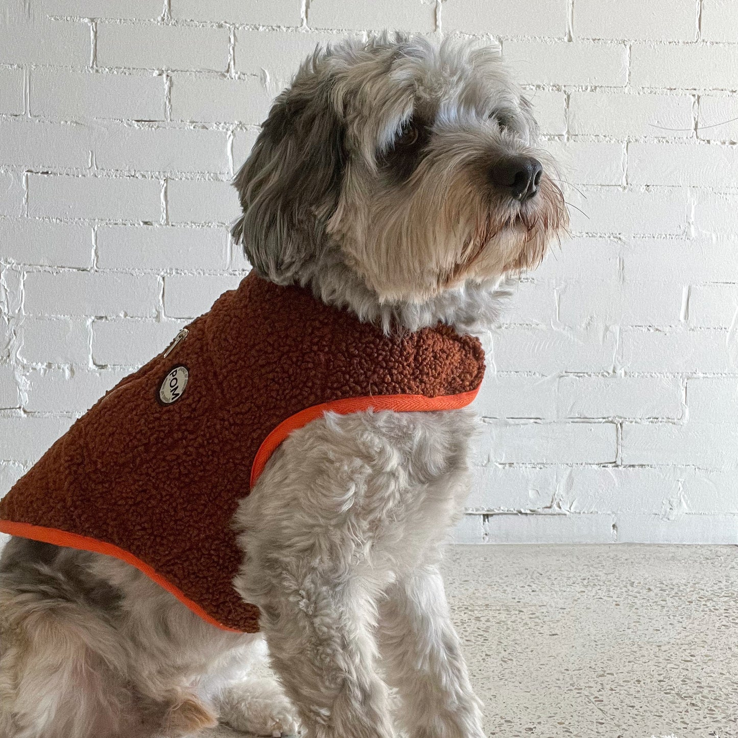 P.O.M Teddy Coat - Jaffa Cake