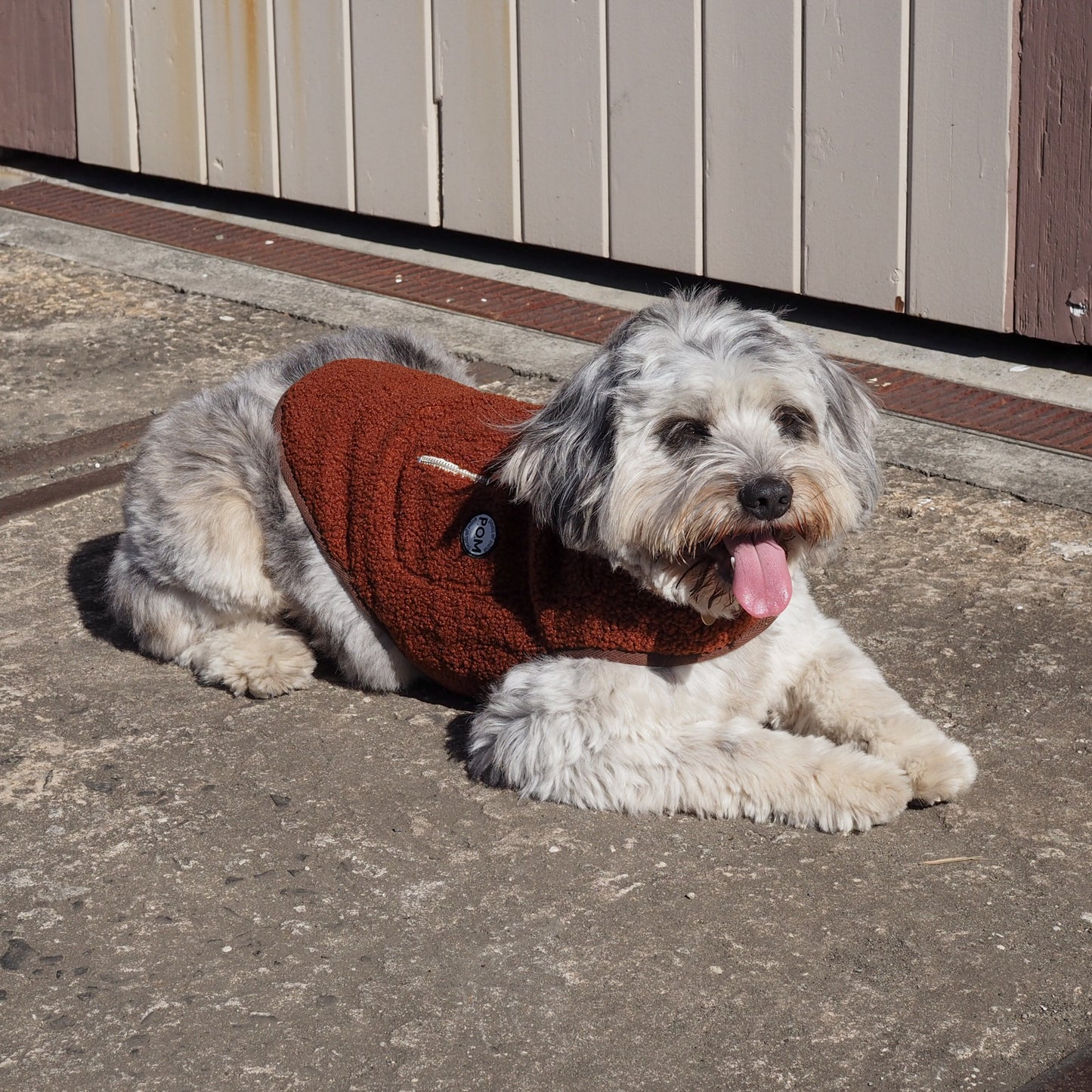 P.O.M Teddy Coat - Chocolate