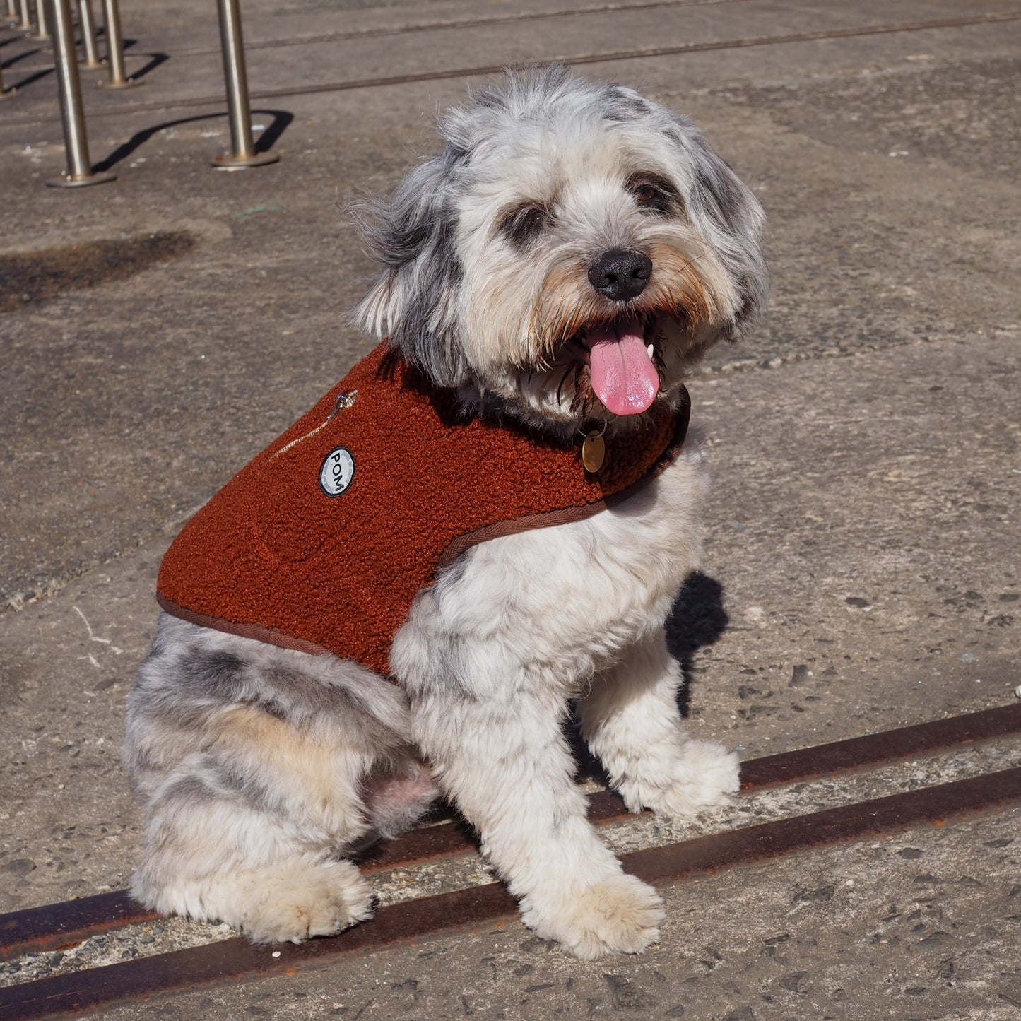 P.O.M Teddy Coat - Chocolate