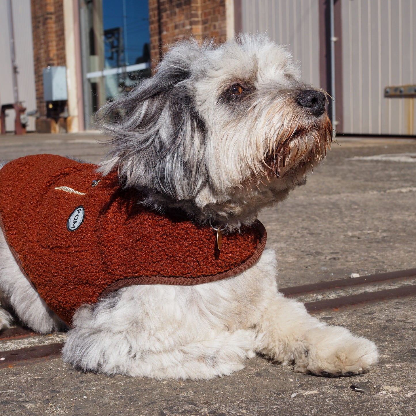 P.O.M Teddy Coat - Chocolate