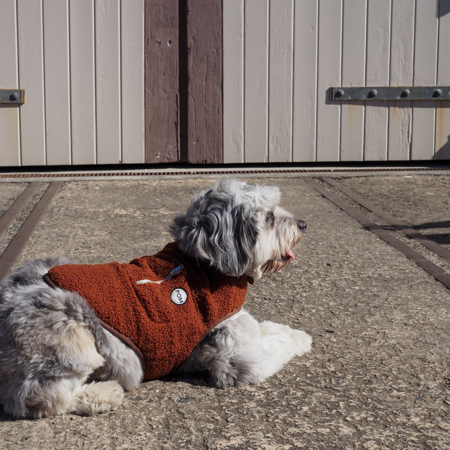 P.O.M Teddy Coat - Chocolate