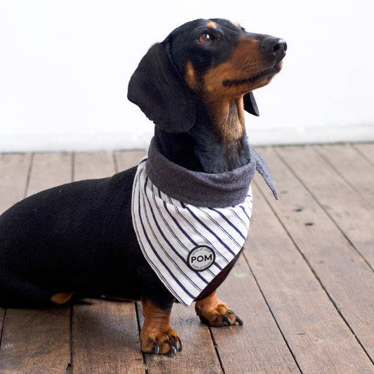 Bandana - Stripe/Charcoal Marle