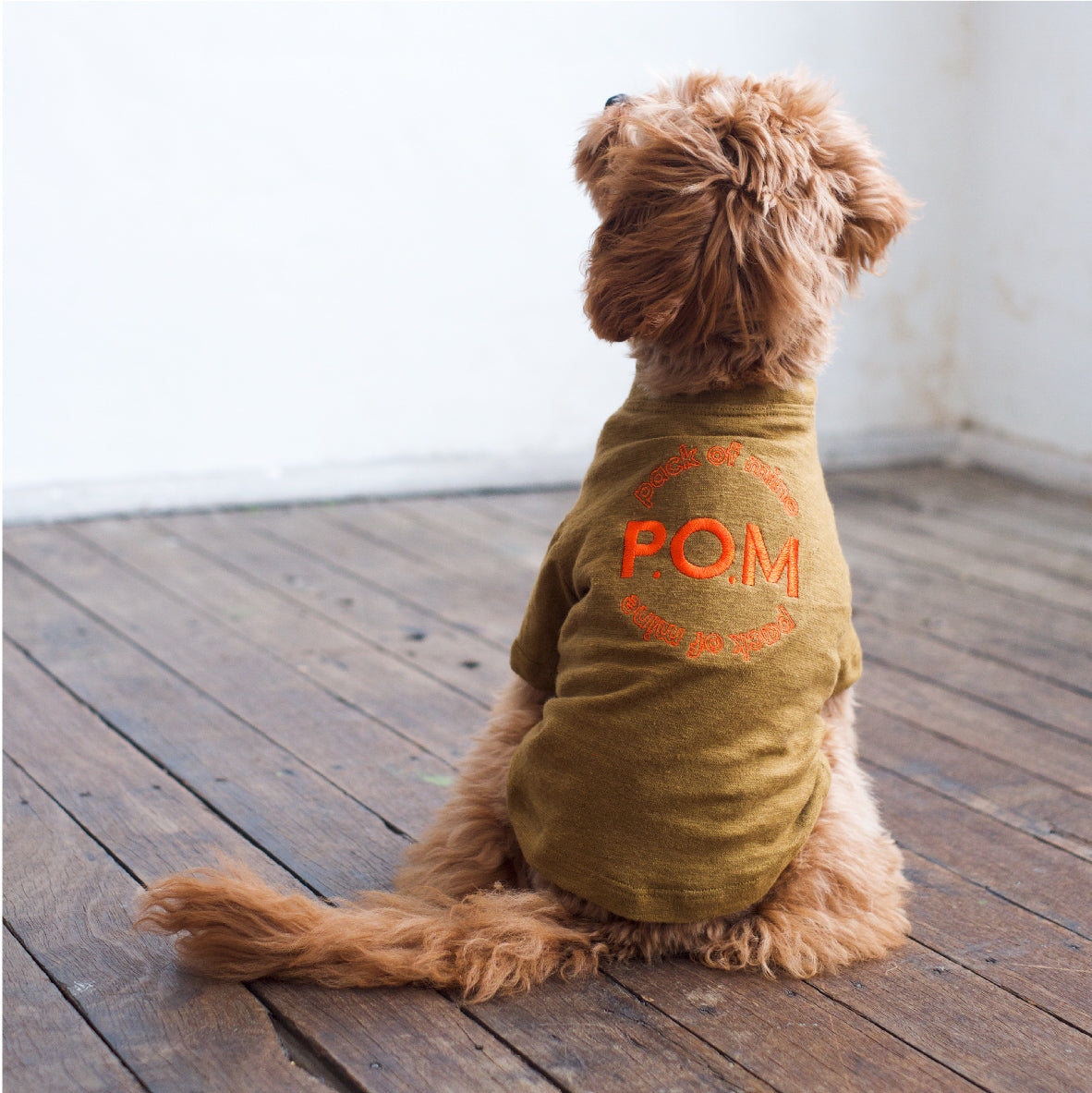 Gathered Front Tee - Pack of Mine Camel