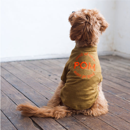 Gathered Front Tee - Pack of Mine Camel