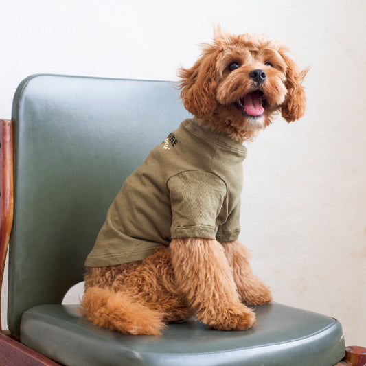 Gathered Front Tee - Part of The Pack Olive