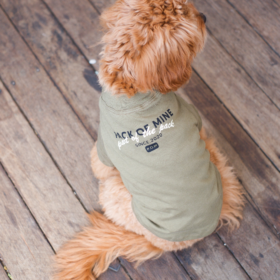 Gathered Front Tee - Part of The Pack Olive