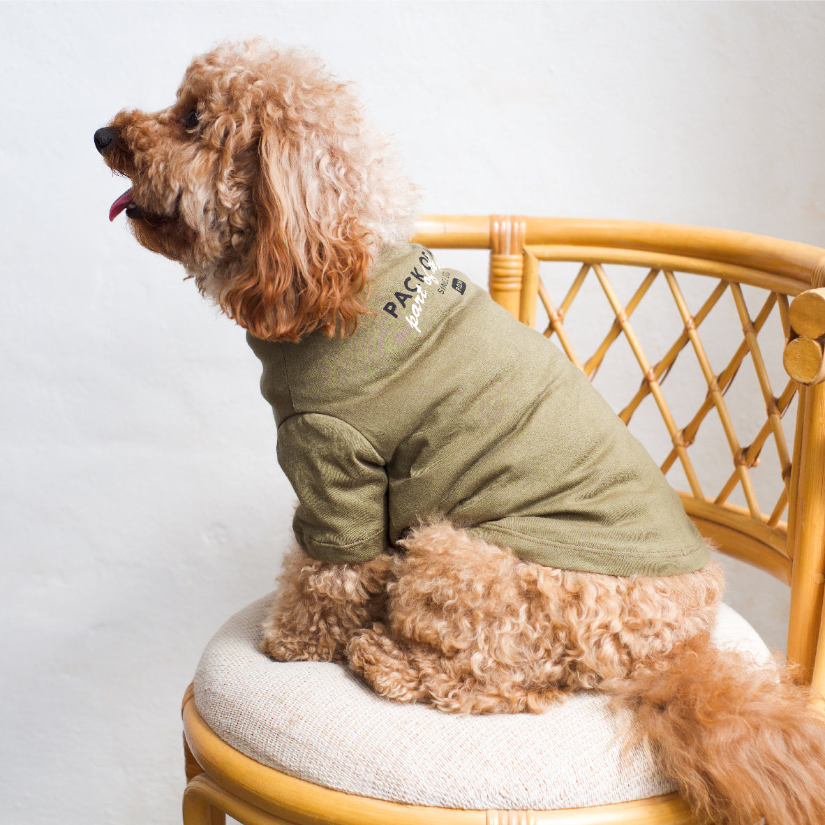 Gathered Front Tee - Part of The Pack Olive