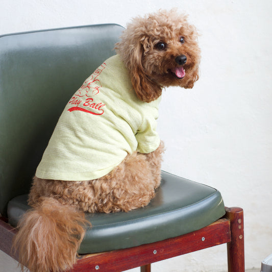Gathered Front Tee - Play Ball Citrus Stripe