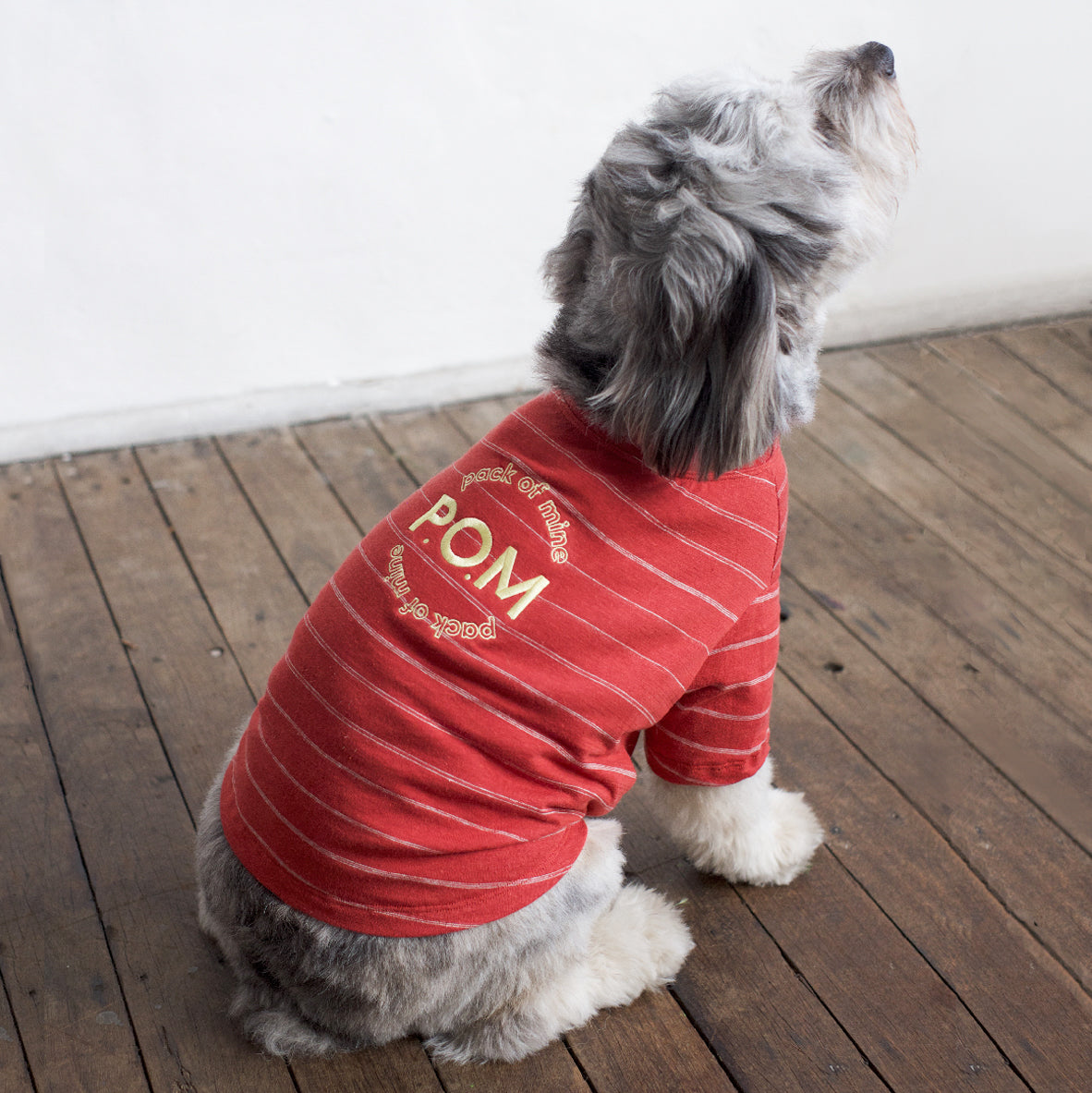 Gathered Front Tee - Pack of Mine Red Stripe
