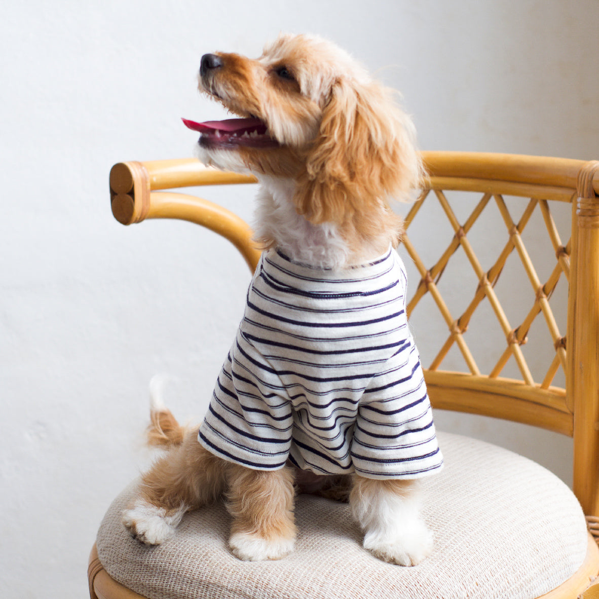 Gathered Front Tee - Pack of Mine Classic Stripe