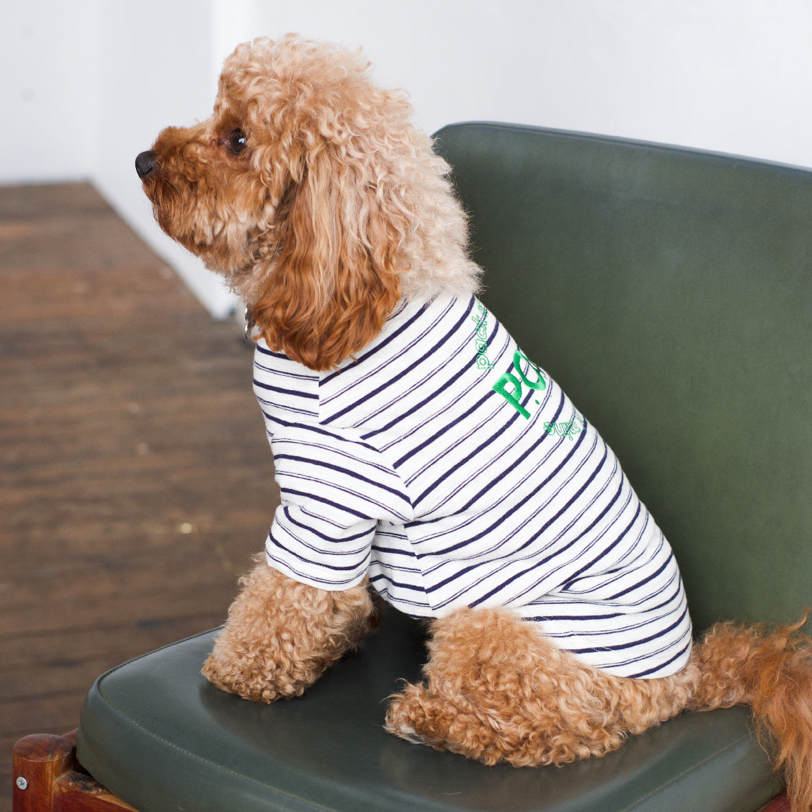 Gathered Front Tee - Pack of Mine Classic Stripe