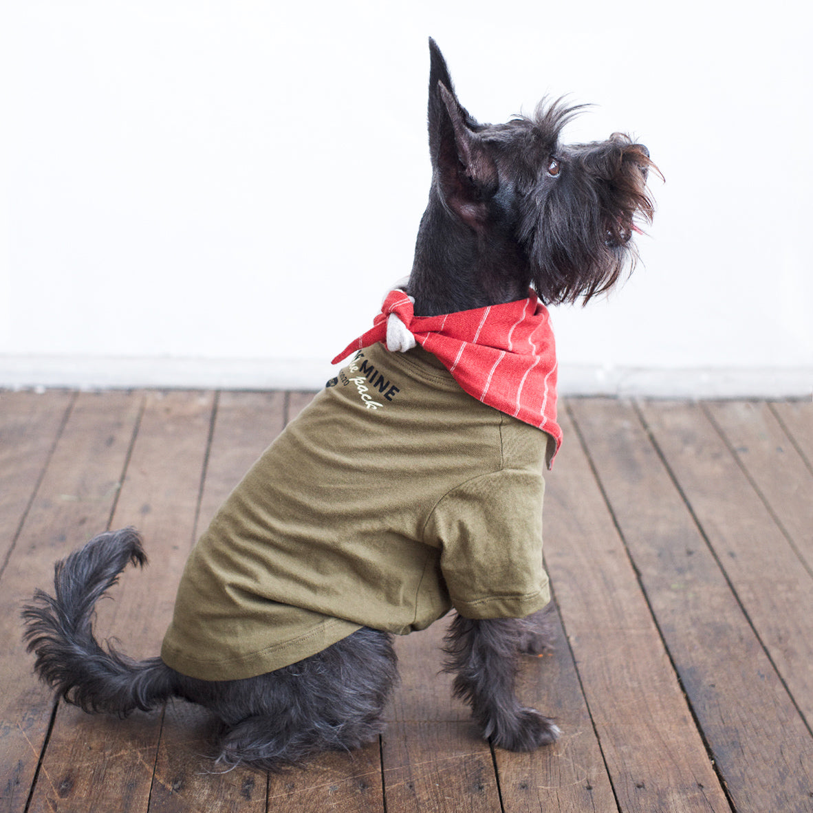 Gathered Front Tee - Part of The Pack Olive
