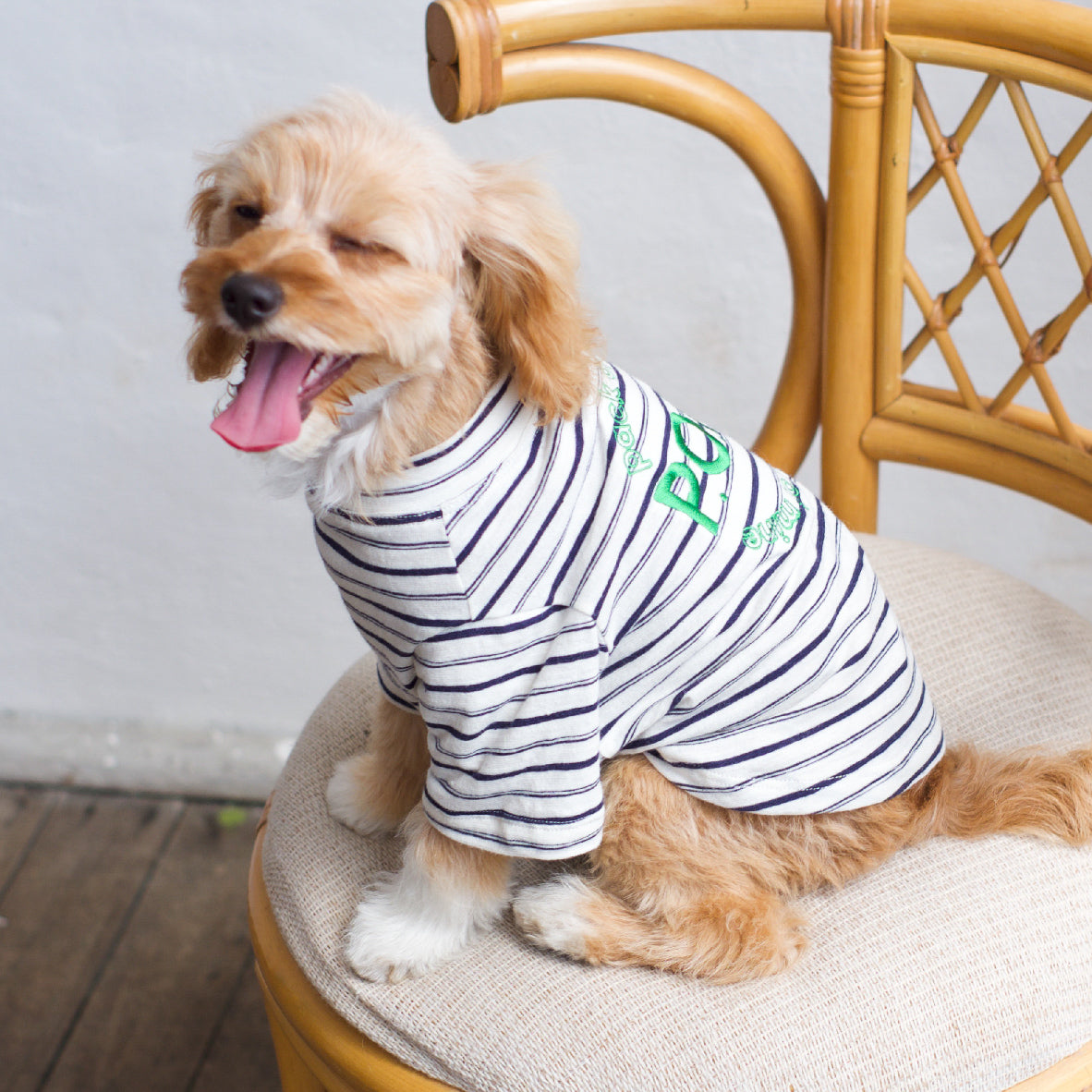 Gathered Front Tee - Pack of Mine Classic Stripe