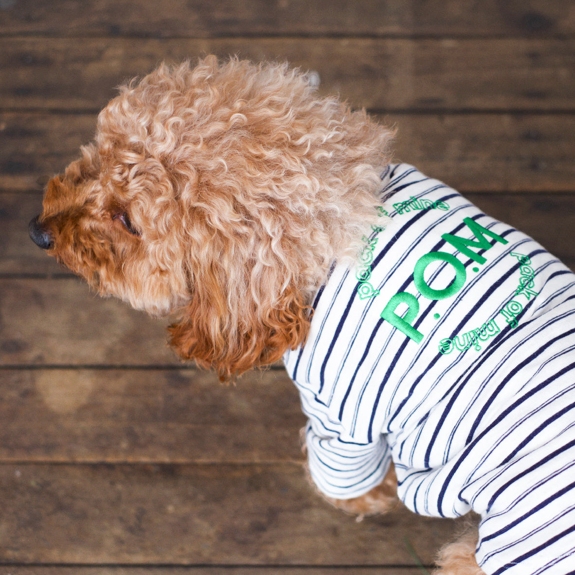 Gathered Front Tee - Pack of Mine Classic Stripe