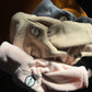 Polar Fleece Jacket - Sand