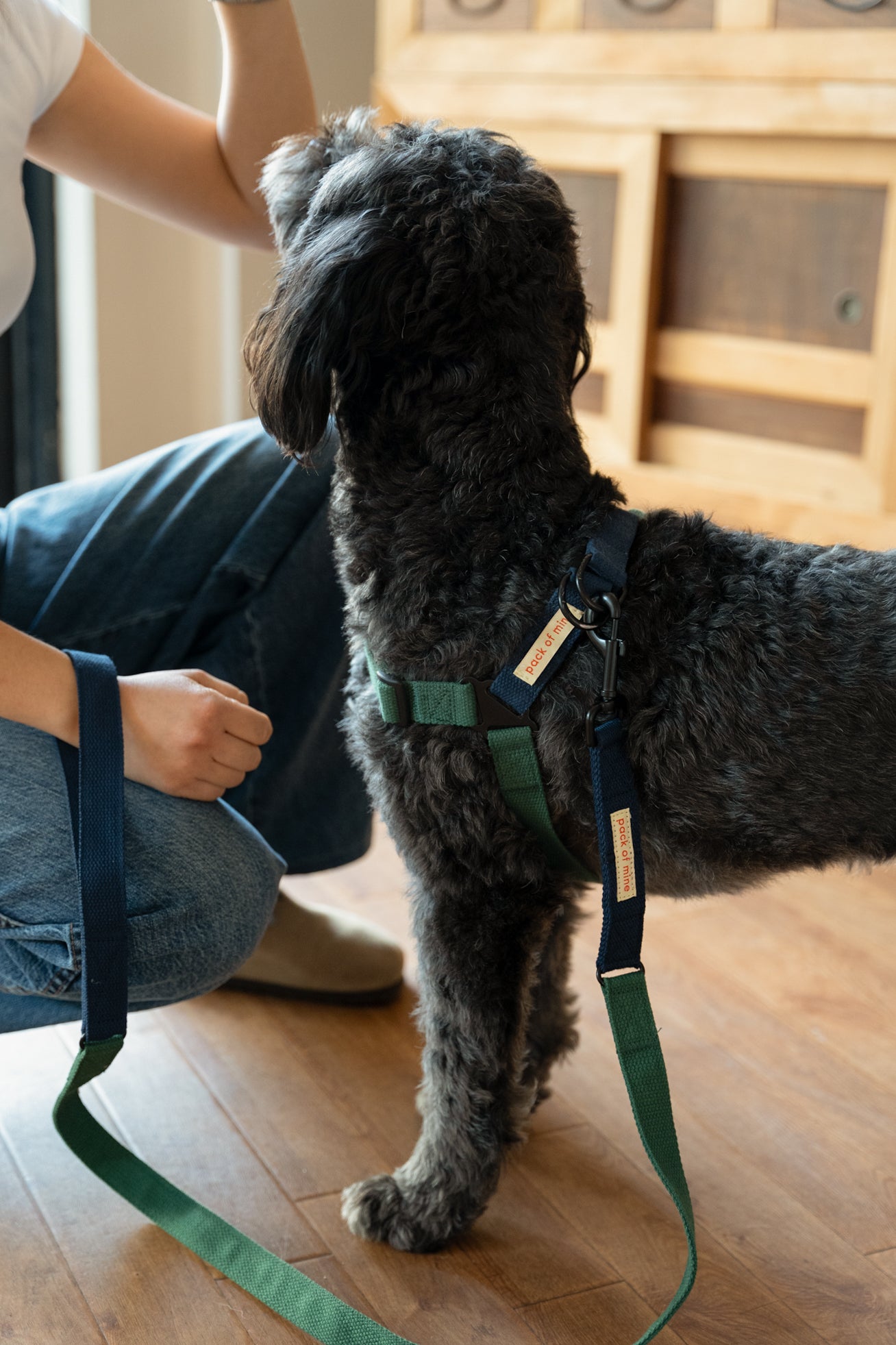 Harness - Forest Green & Navy