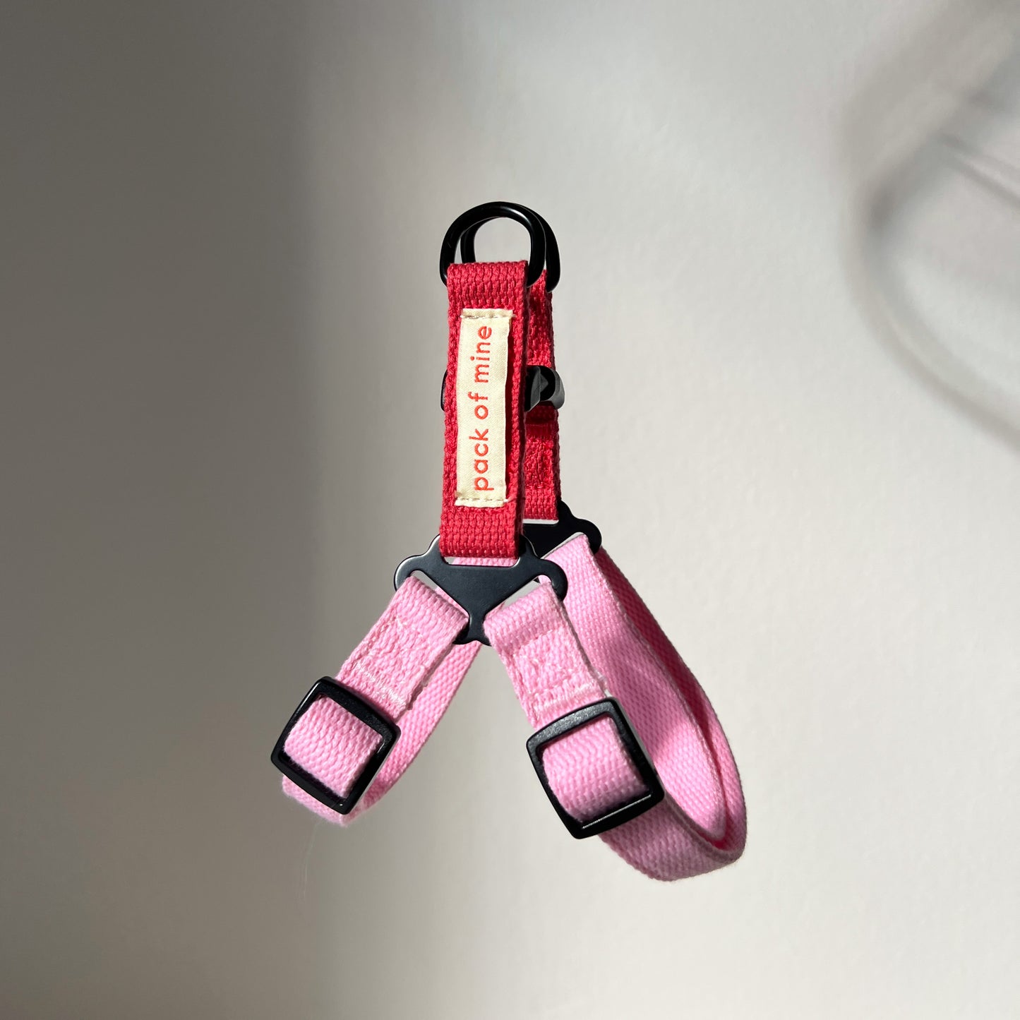 Harness - Pink & Red