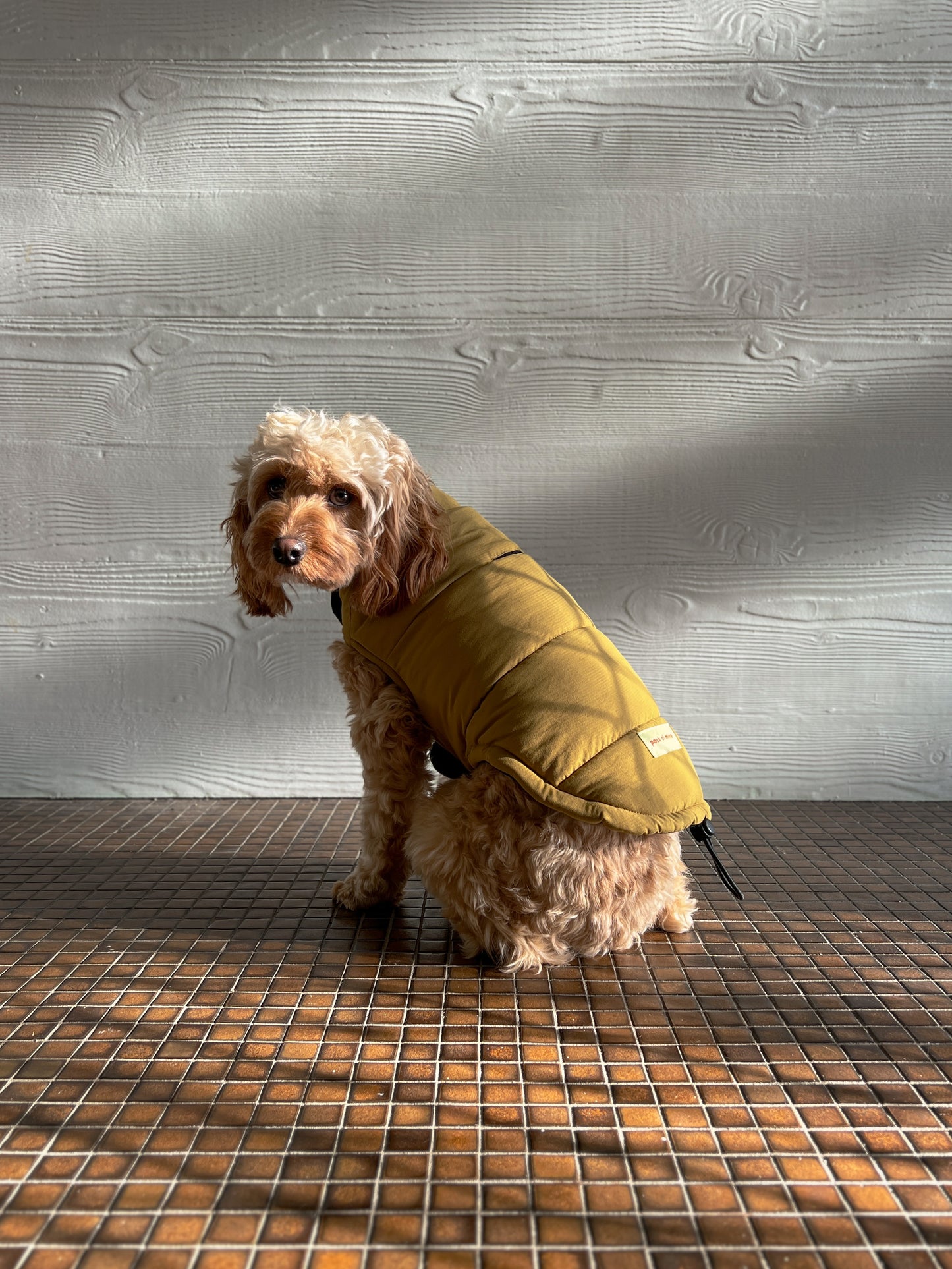 Puffer Jacket - Mustard