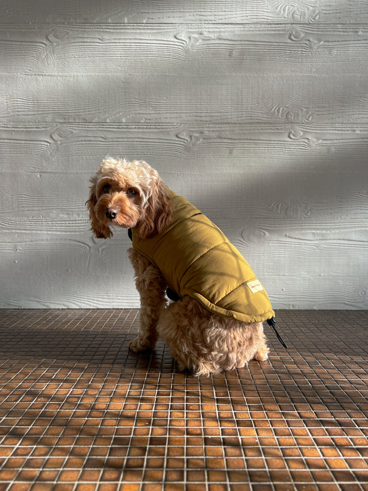 Puffer Jacket - Mustard