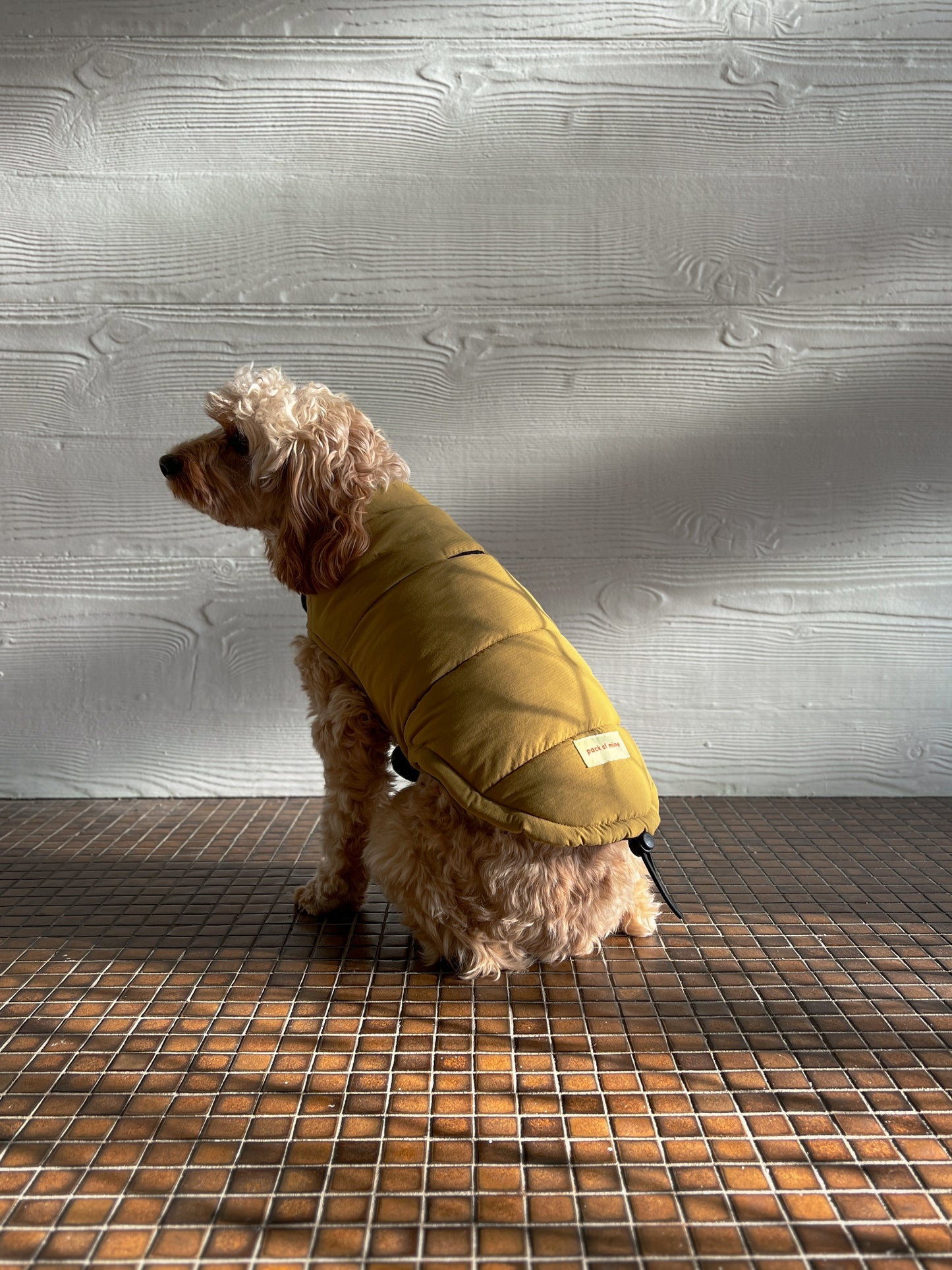 Puffer Jacket - Mustard