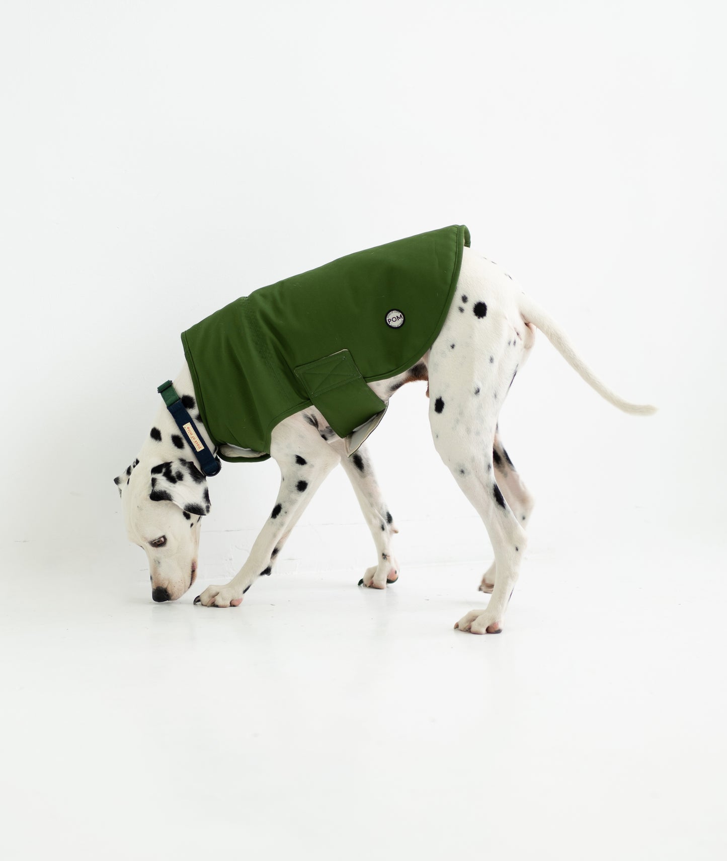 Whatever The Weather Coat - Basil
