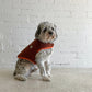 P.O.M Teddy Coat - Jaffa Cake